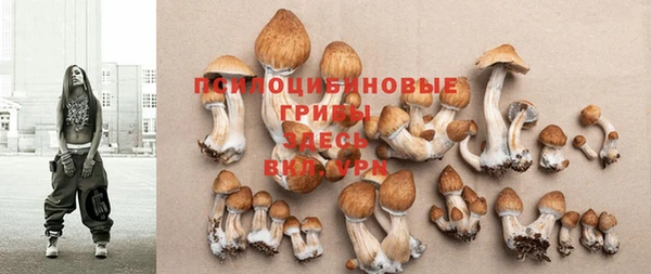 метадон Абдулино