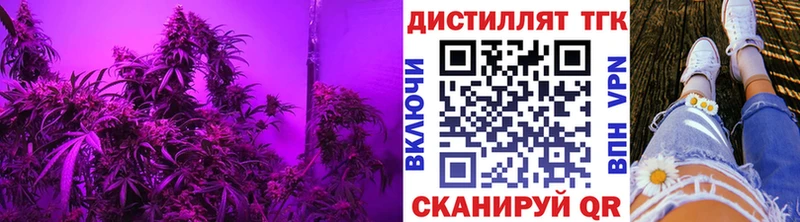 Дистиллят ТГК гашишное масло  сколько стоит  Нерчинск 