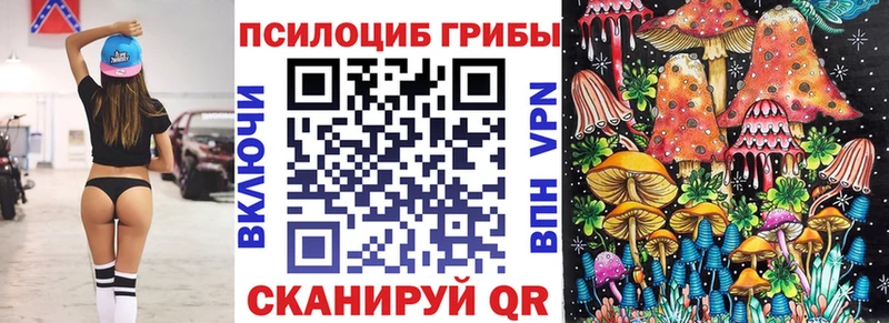 Галлюциногенные грибы Cubensis  Нерчинск 